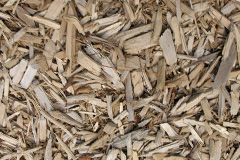 biomass boilers Aberarder